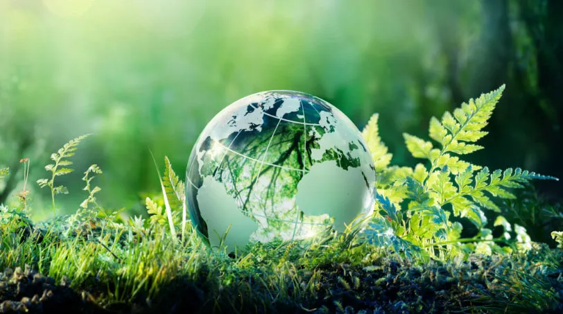 Planet model of globe resting in greenery