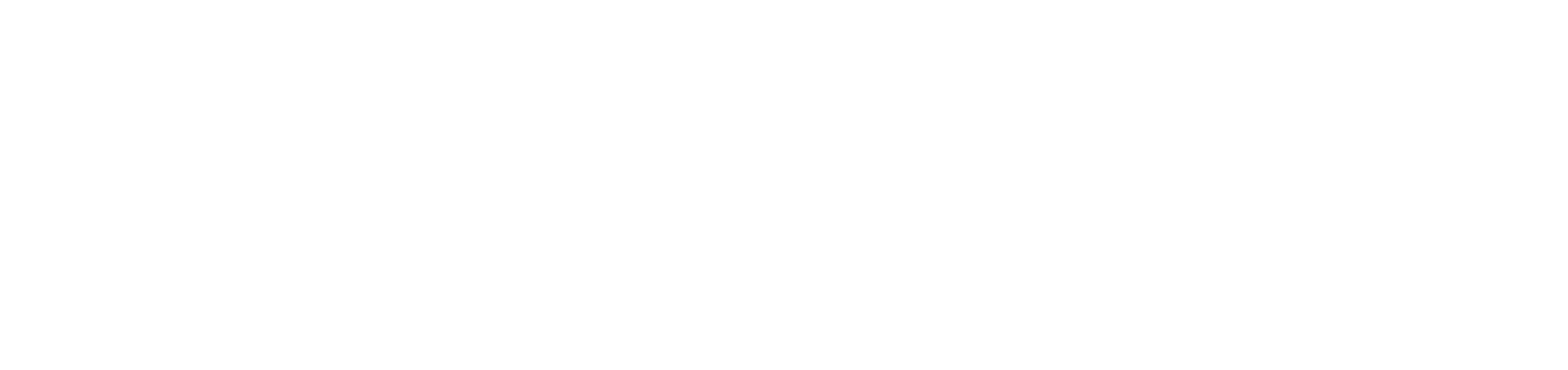 Nz Opera Logo NZ Opera
